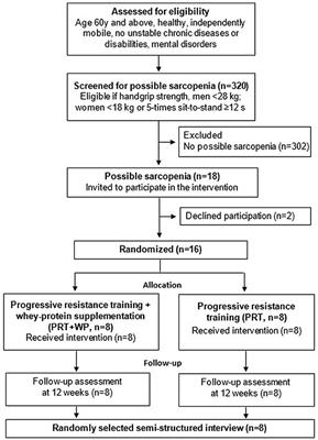 “We want more”: perspectives of sarcopenic older women on the feasibility of high-intensity progressive resistance exercises and a whey-protein nutrition intervention